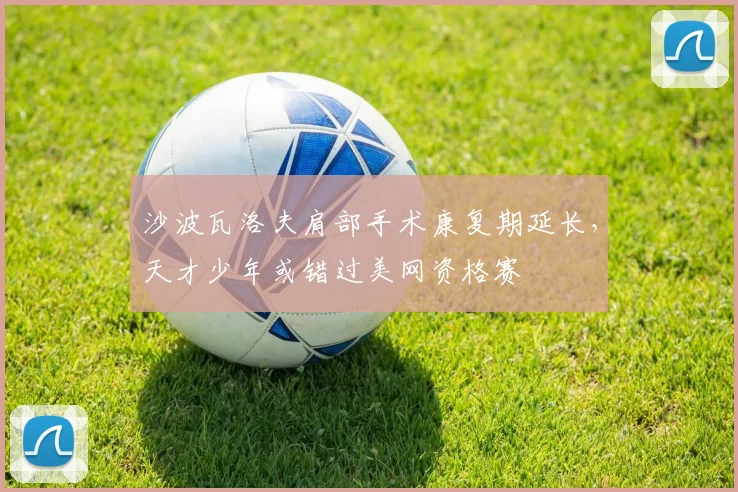 沙波瓦洛夫肩部手术康复期延长，天才少年或错过美网资格赛